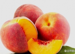 什么桃子最好吃优质 什么时候是吃桃子的季节