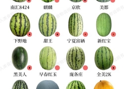 什么样的西瓜最好吃 精品西瓜品种十大排行榜