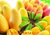 芒果与什么食物相克 吃芒果禁忌什么一起吃