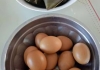 粽子和鸡蛋能一起吃吗 端午节为什么叫五月初五